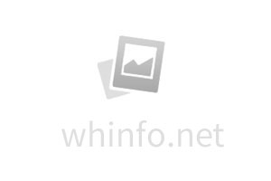 機(jī)械取栓：缺血性腦卒中的 “黃金救治窗口”