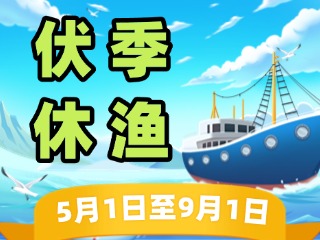 2025年威海伏季休漁政策發(fā)布！